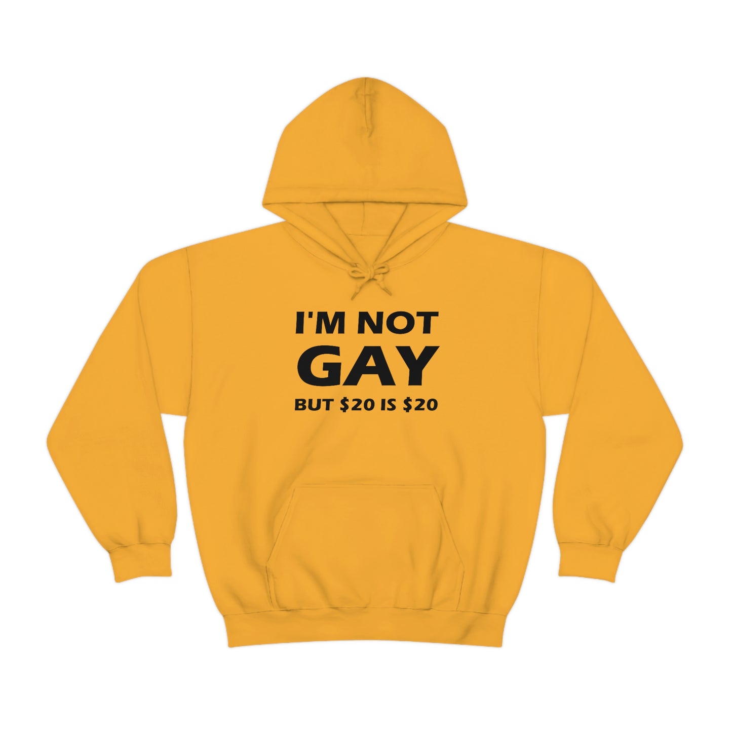 I'm Not Gay But $20 Is $20 Hoodie