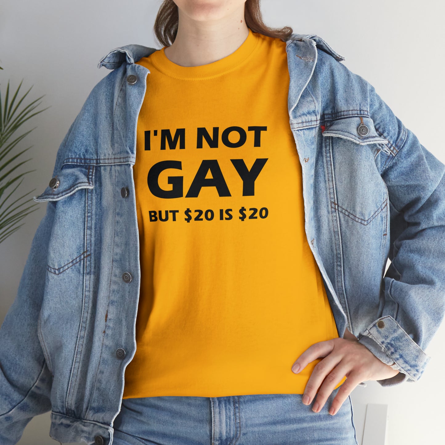 I'm Not Gay But $20 Is $20 Tee