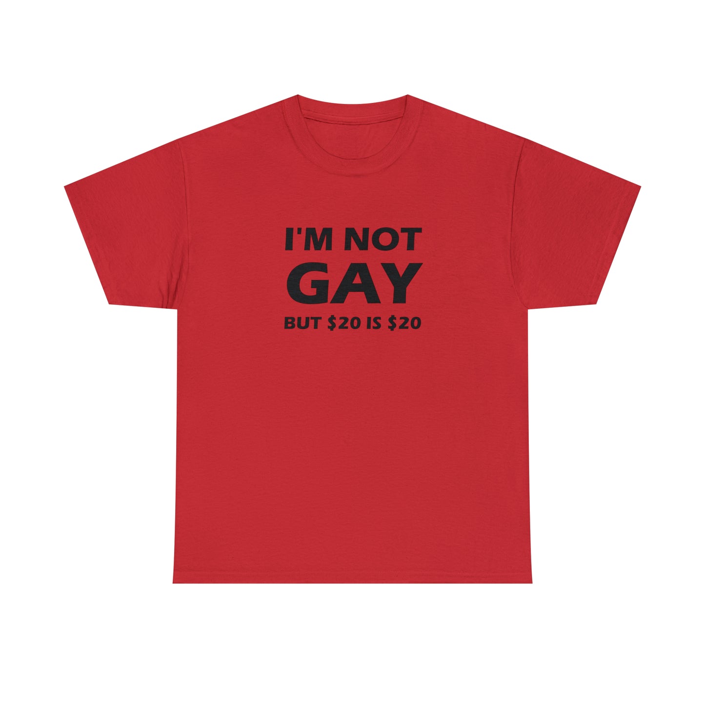 I'm Not Gay But $20 Is $20 Tee