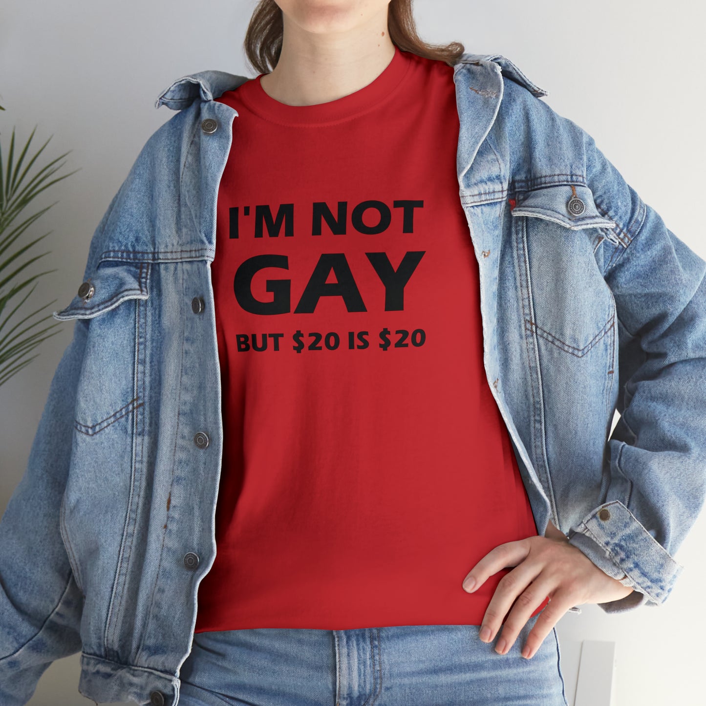 I'm Not Gay But $20 Is $20 Tee