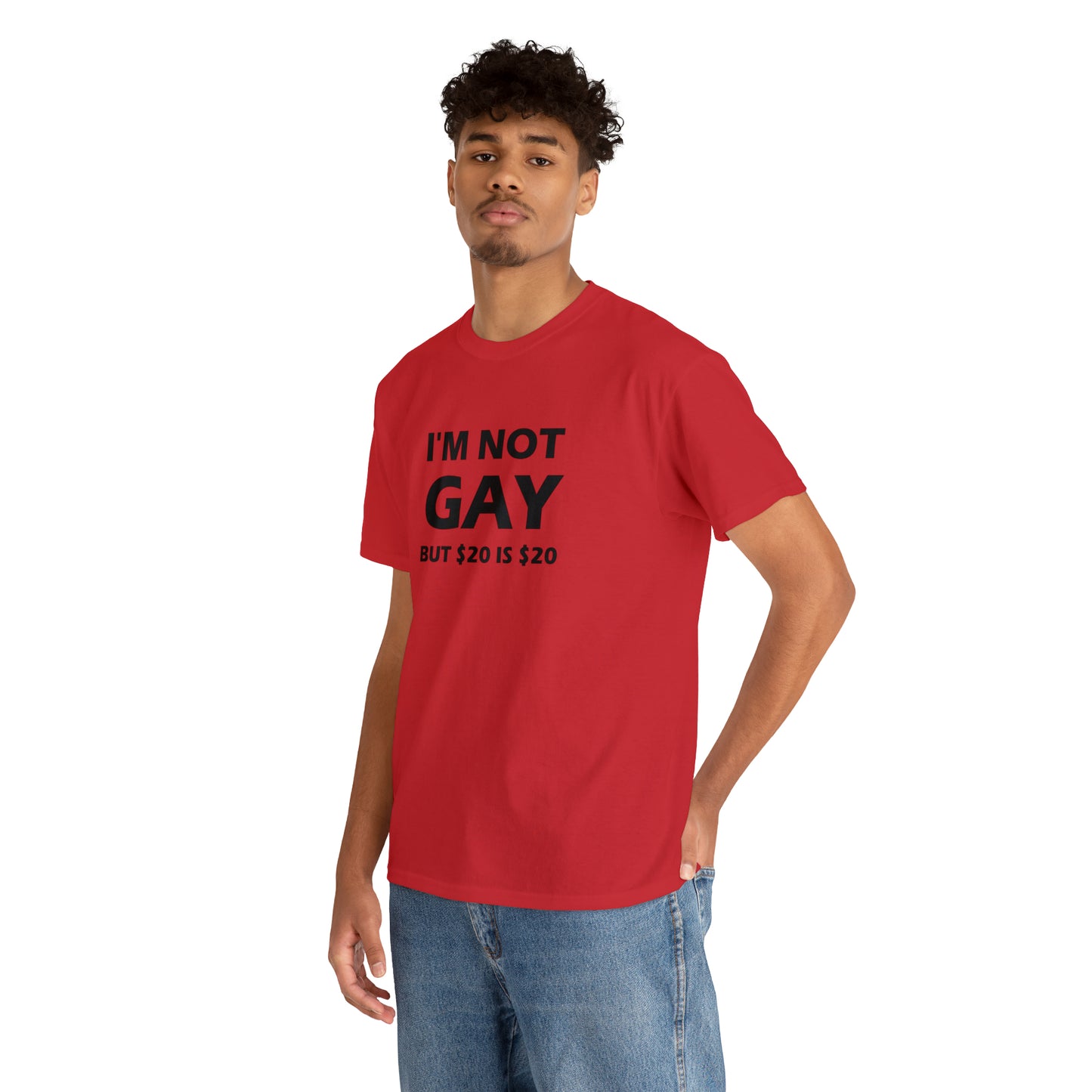 I'm Not Gay But $20 Is $20 Tee