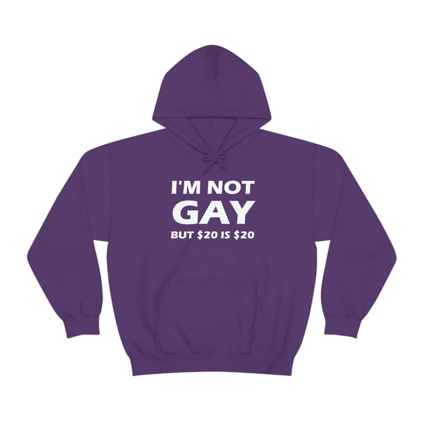 I'm Not Gay But $20 Is $20 Hoodie