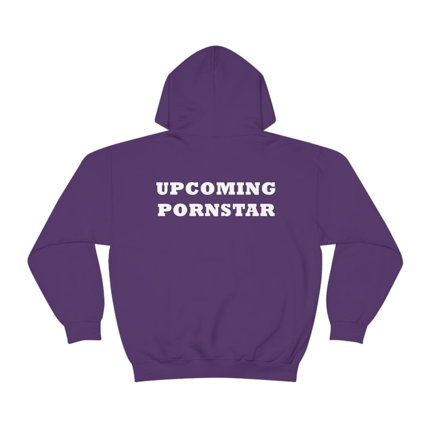 Upcoming Pornstar Hoodie (Design on the back)