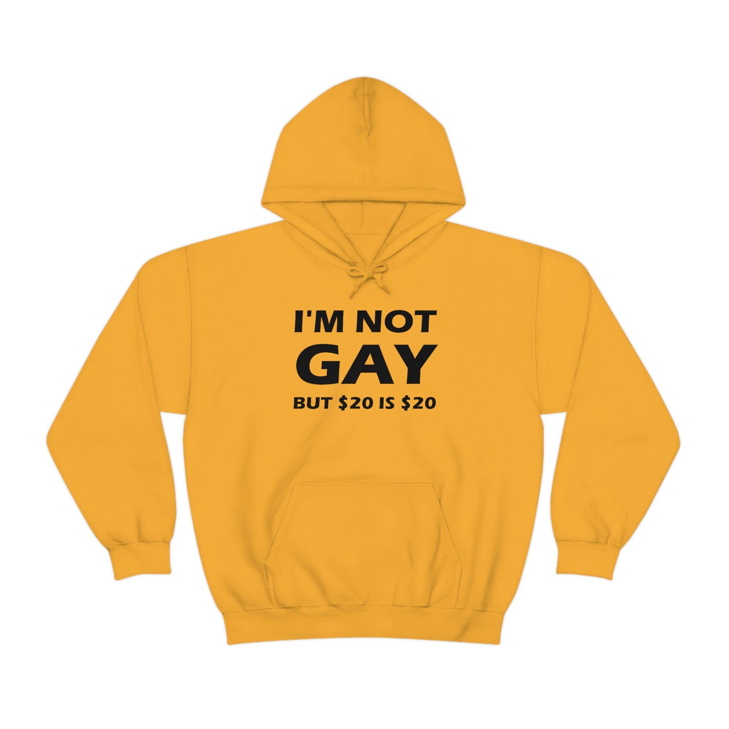 I'm Not Gay But $20 Is $20 Hoodie