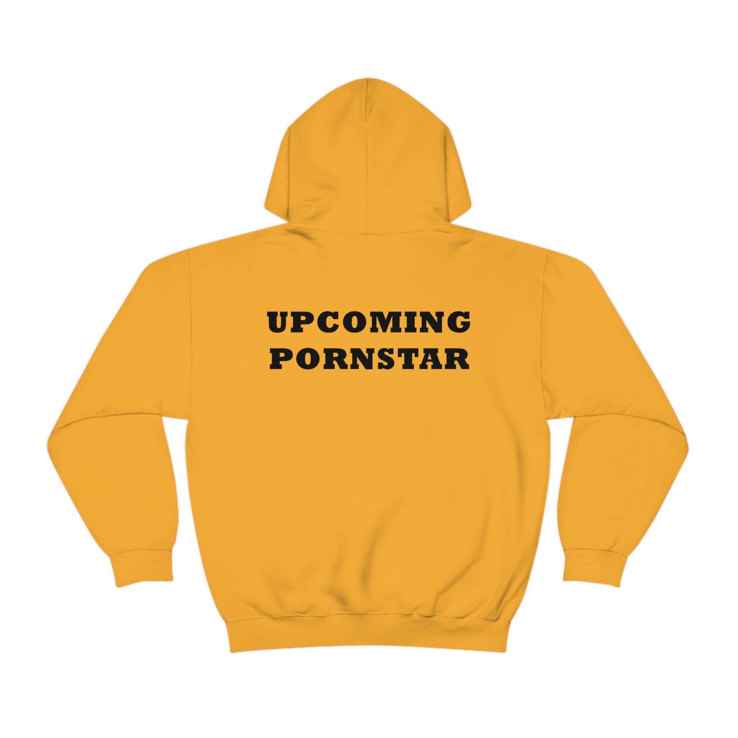 Upcoming Pornstar Hoodie (Design on the back)