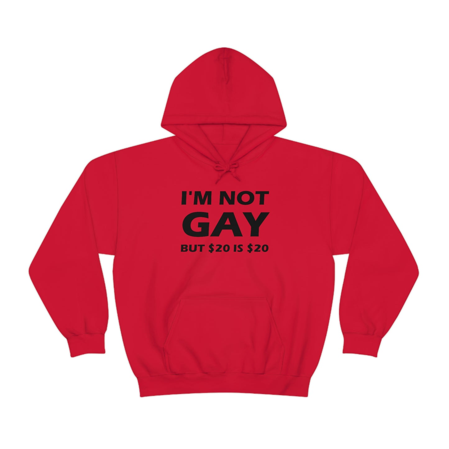 I'm Not Gay But $20 Is $20 Hoodie