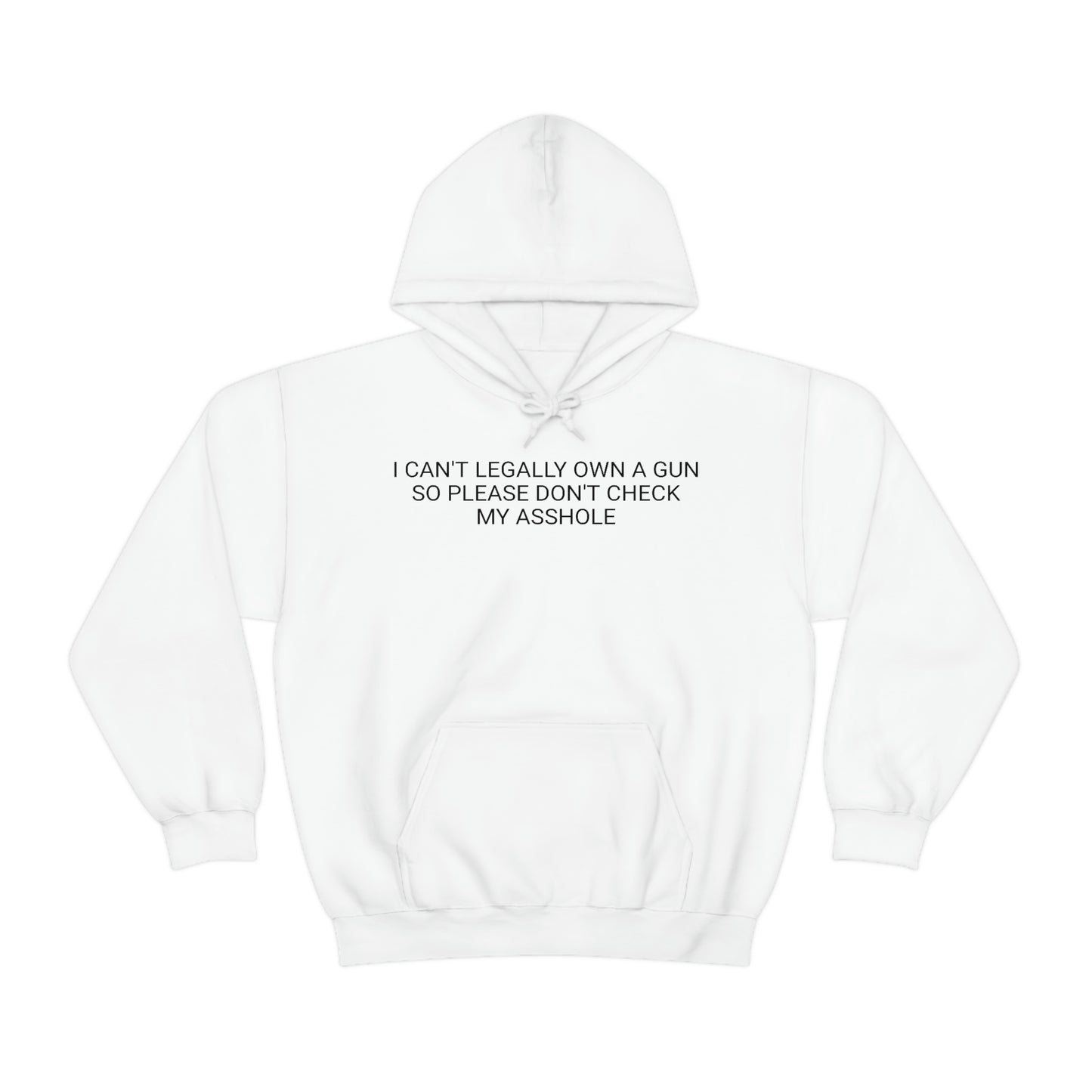 Please Don't Check My Asshole Hoodie