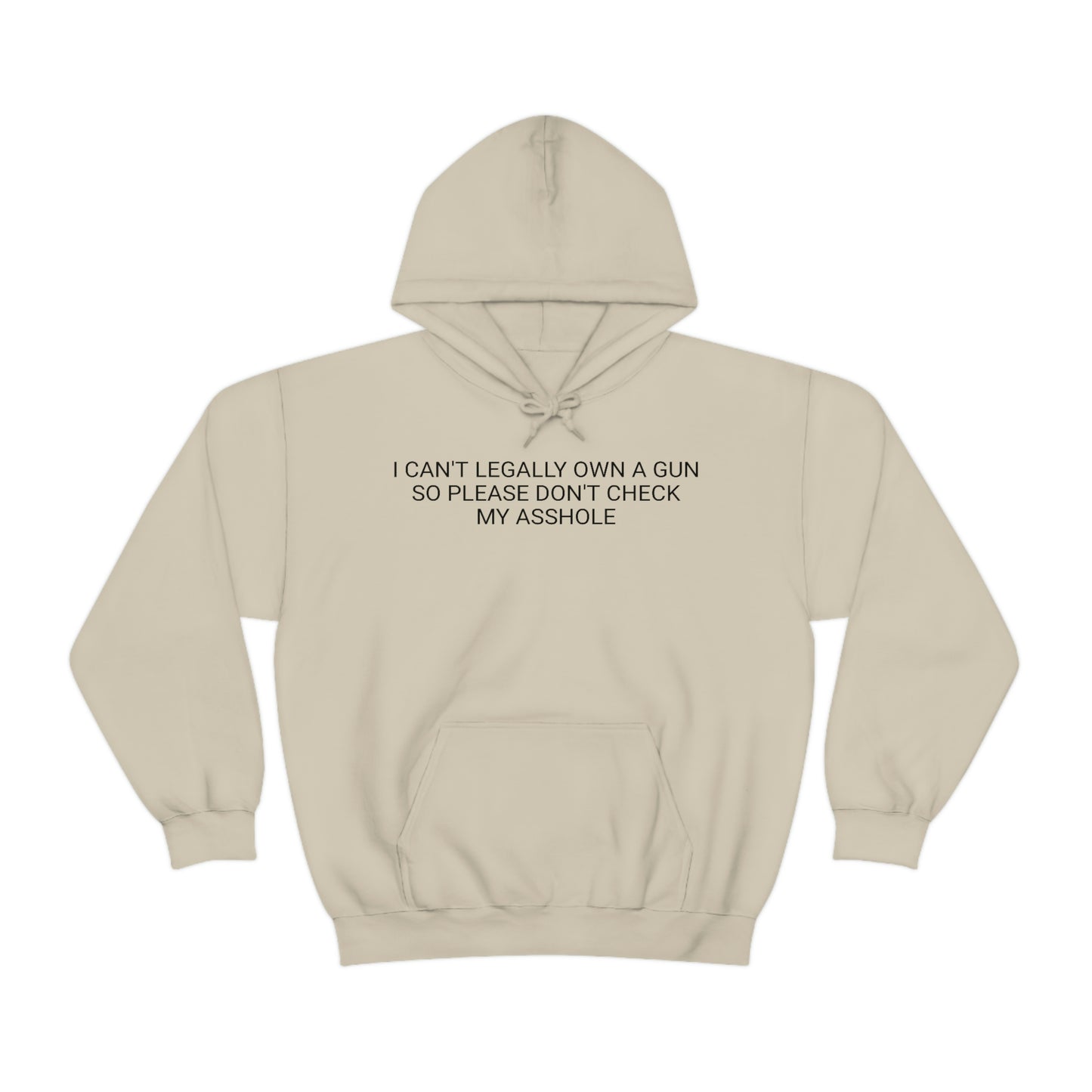 Please Don't Check My Asshole Hoodie