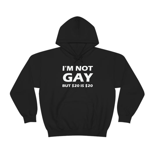 I'm Not Gay But $20 Is $20 Hoodie