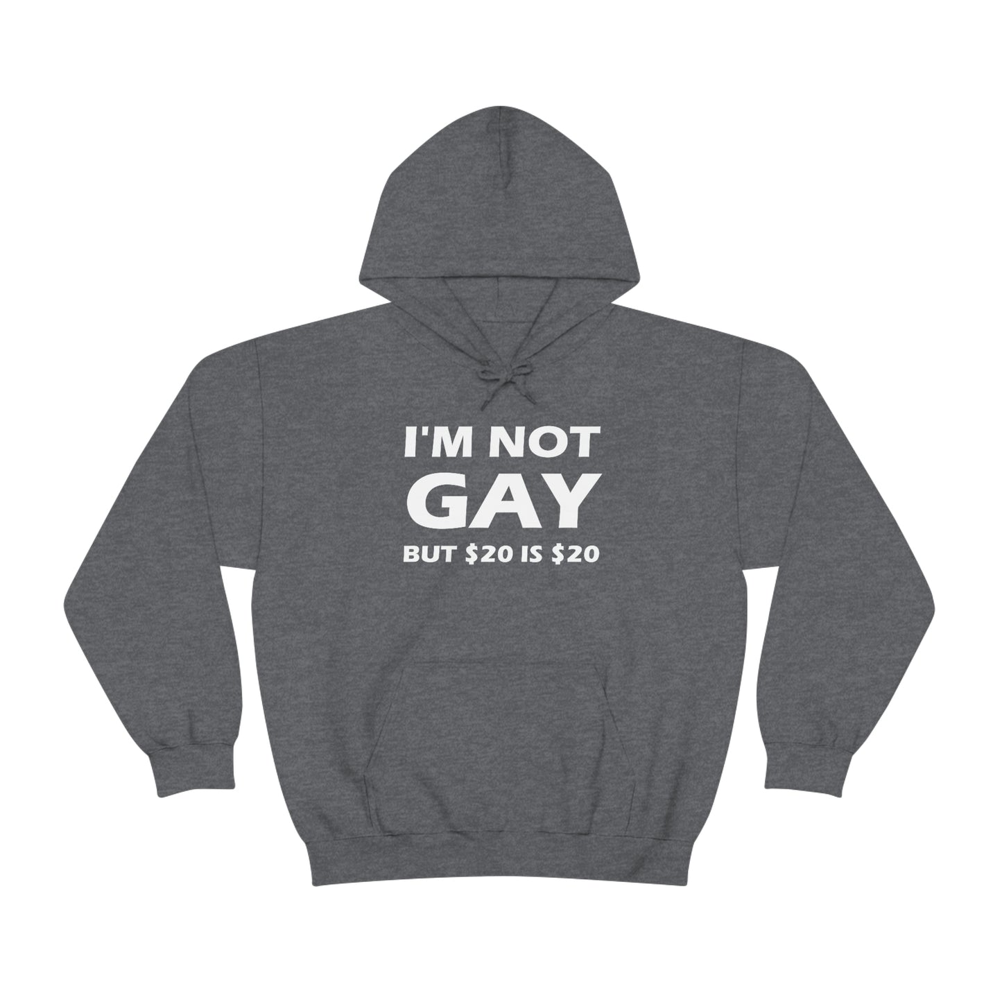 I'm Not Gay But $20 Is $20 Hoodie