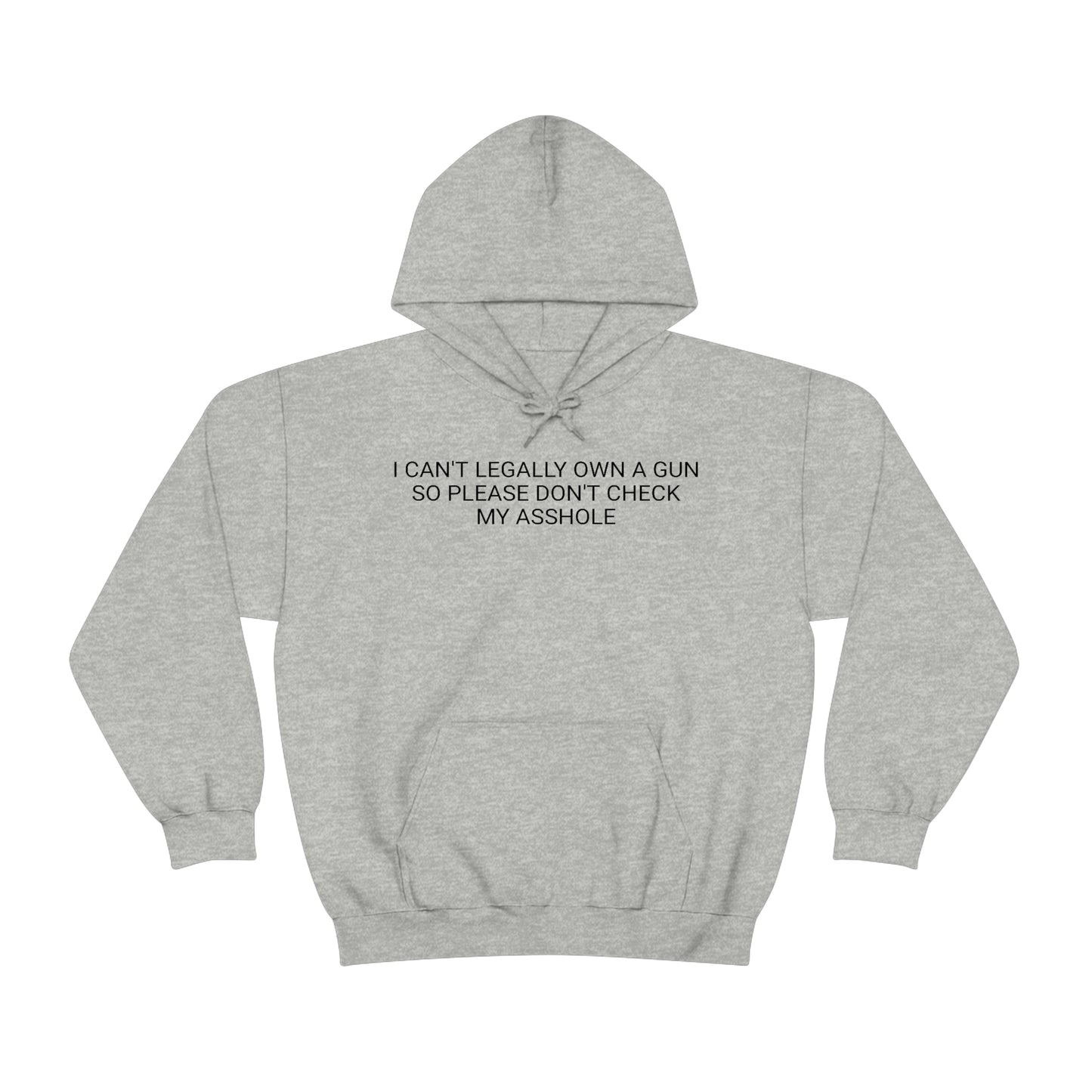 Please Don't Check My Asshole Hoodie