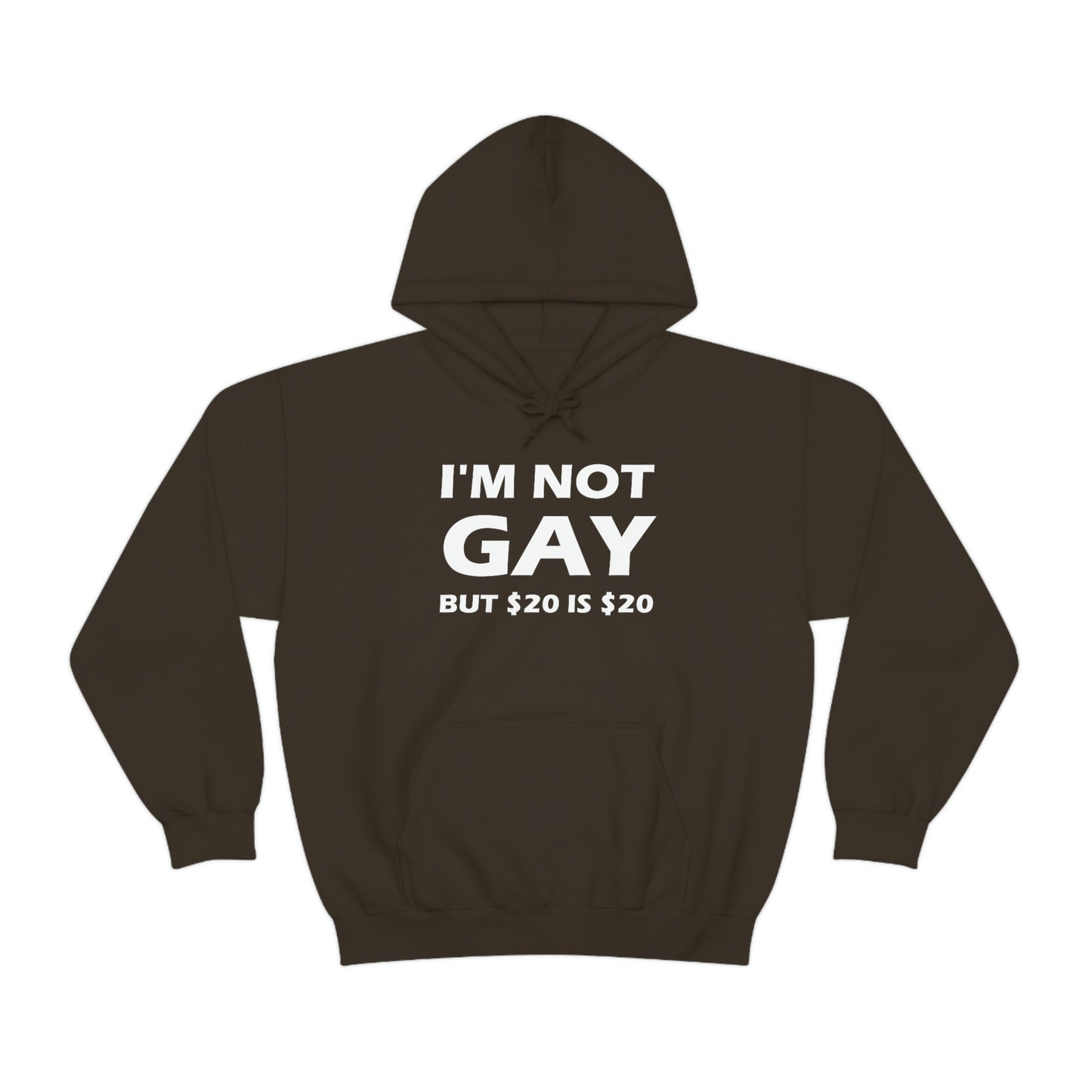 I'm Not Gay But $20 Is $20 Hoodie