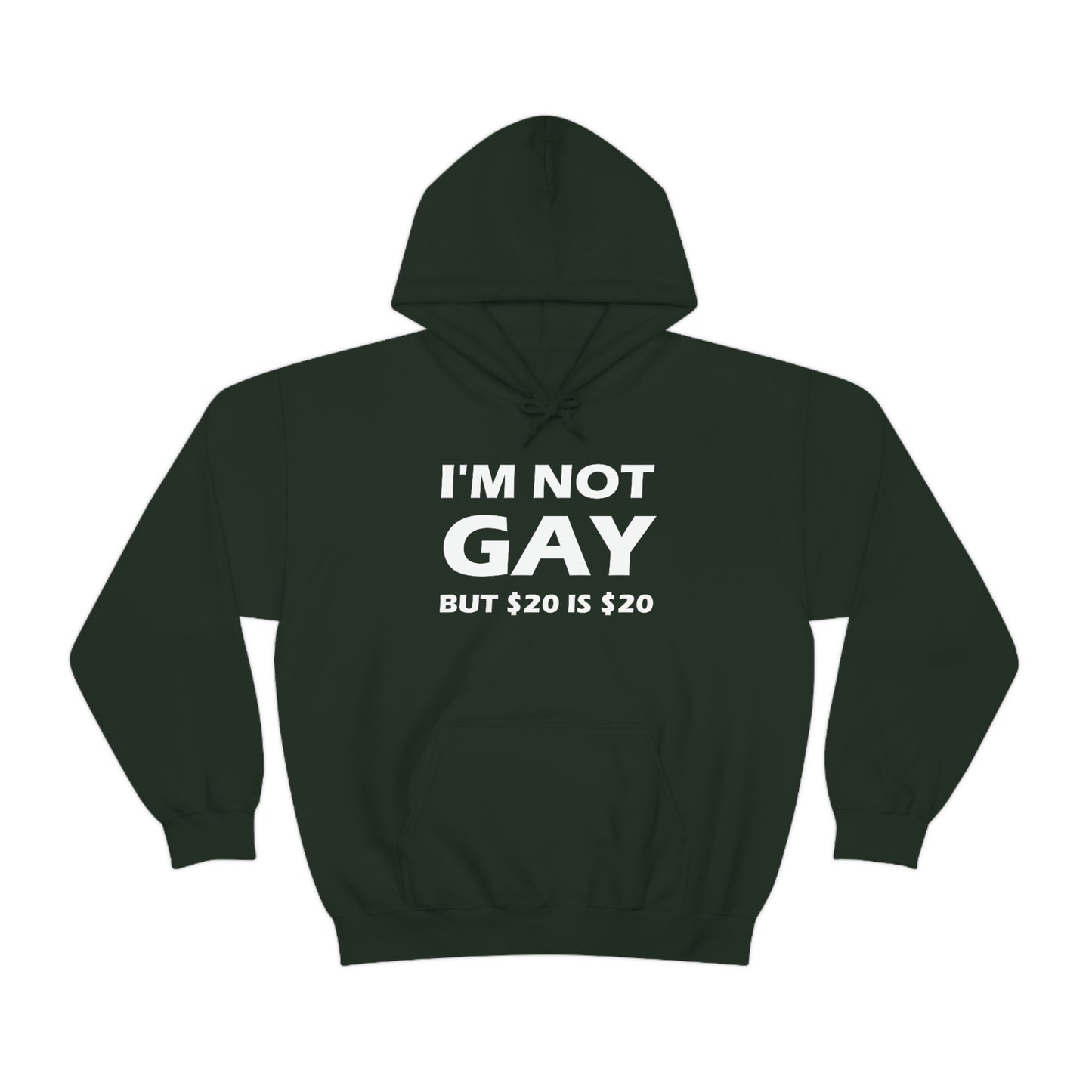 I'm Not Gay But $20 Is $20 Hoodie