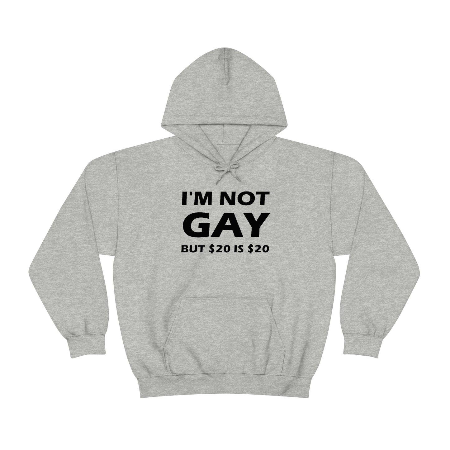 I'm Not Gay But $20 Is $20 Hoodie