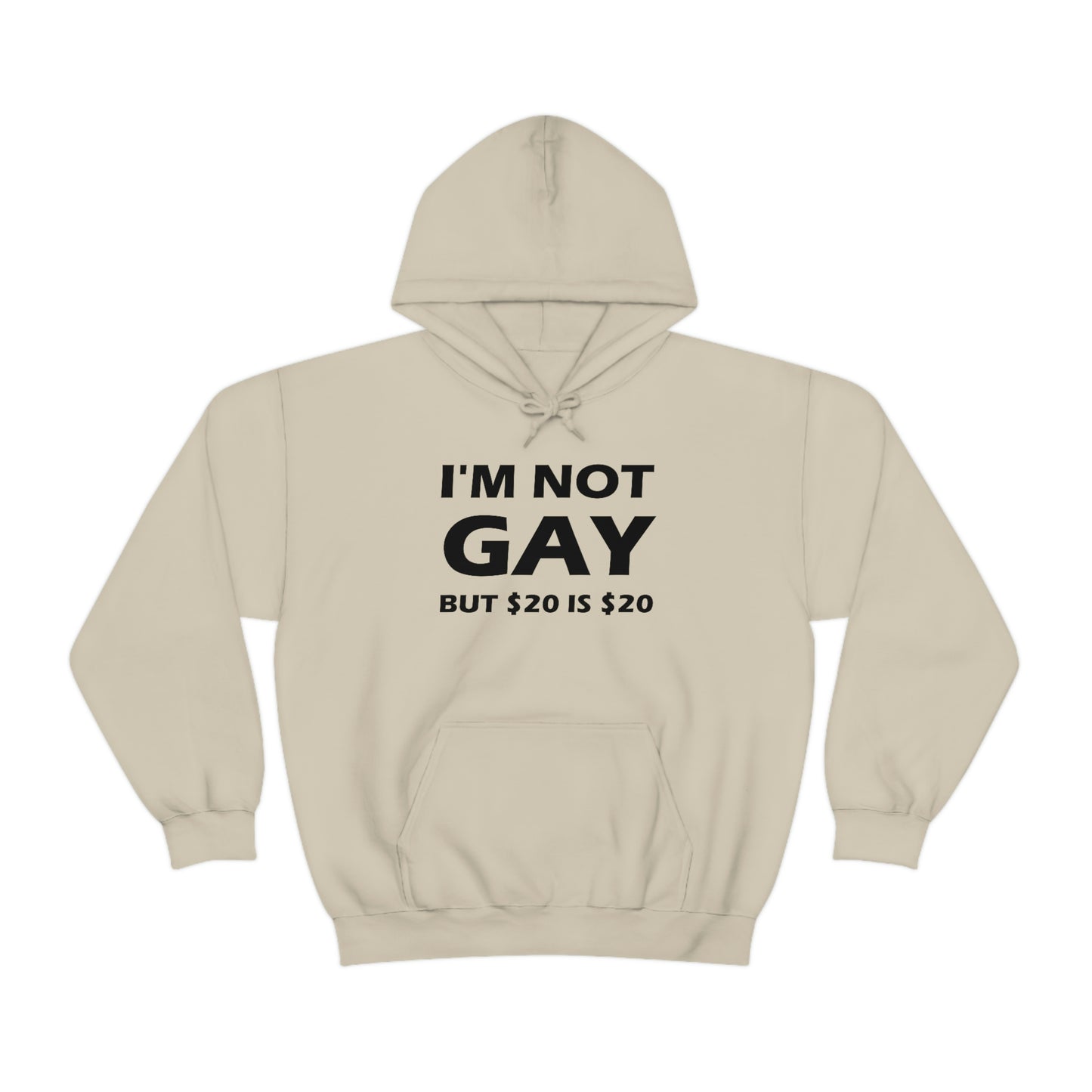 I'm Not Gay But $20 Is $20 Hoodie