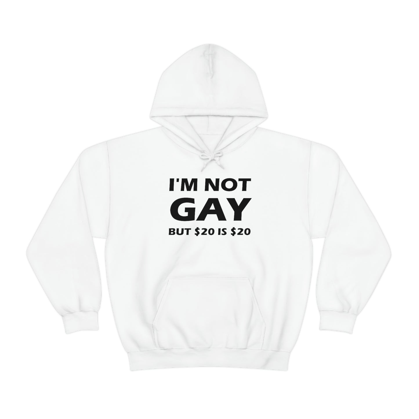 I'm Not Gay But $20 Is $20 Hoodie