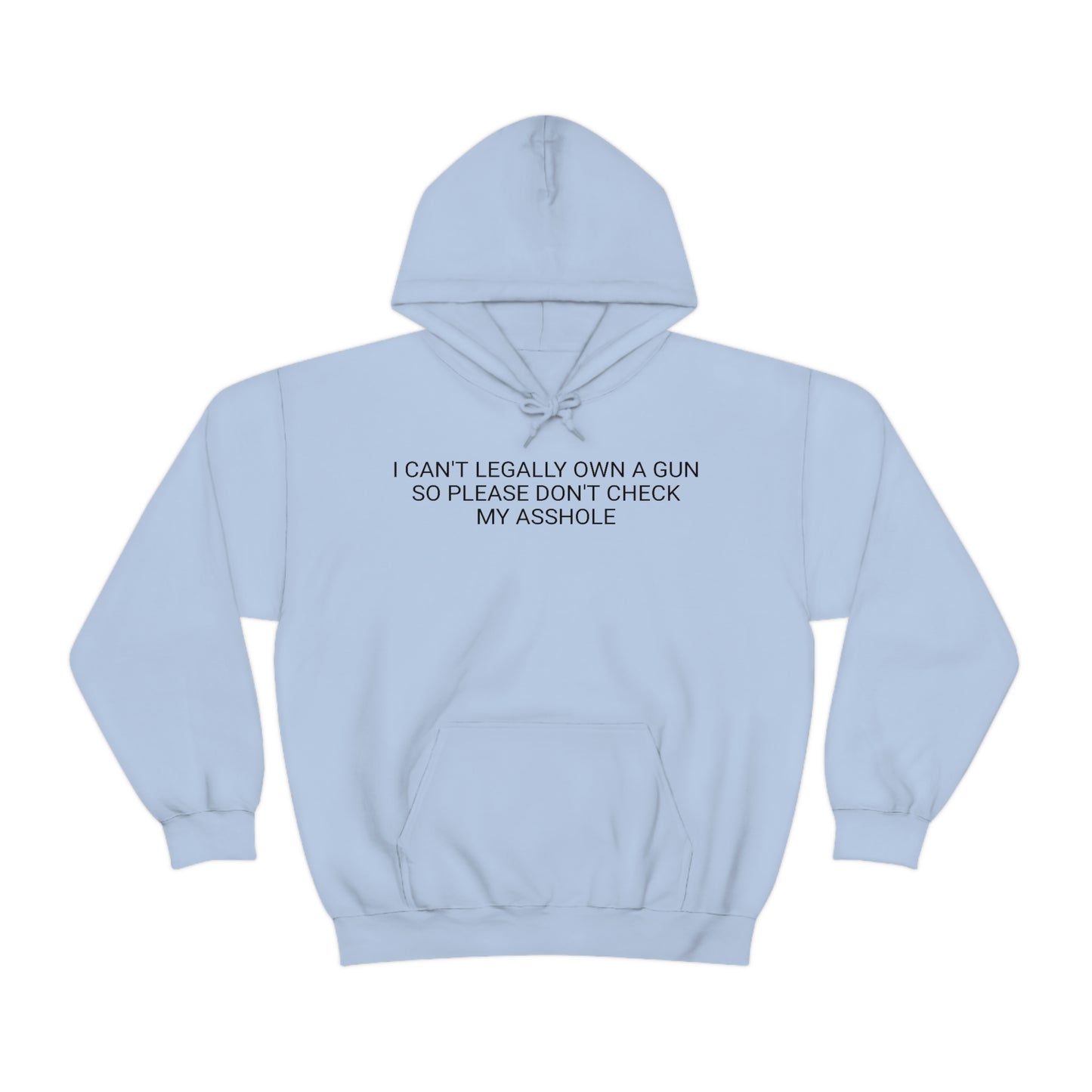 Please Don't Check My Asshole Hoodie