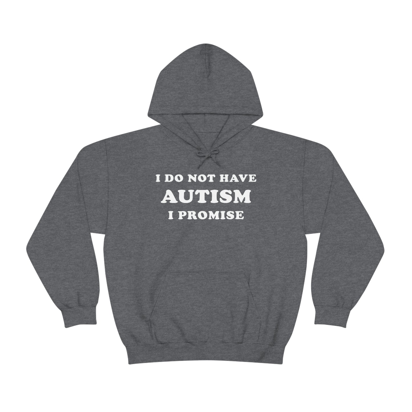 I Do Not Have Autism Hoodie