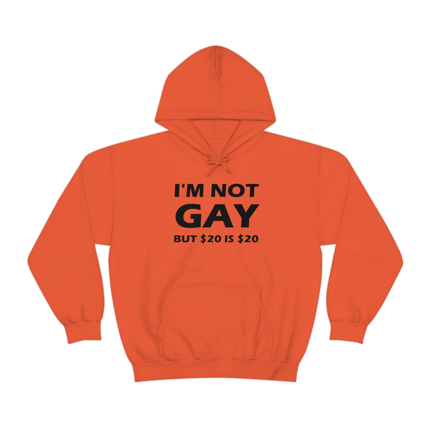 I'm Not Gay But $20 Is $20 Hoodie