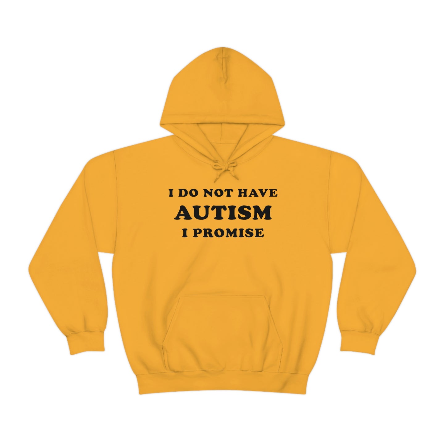 I Do Not Have Autism Hoodie