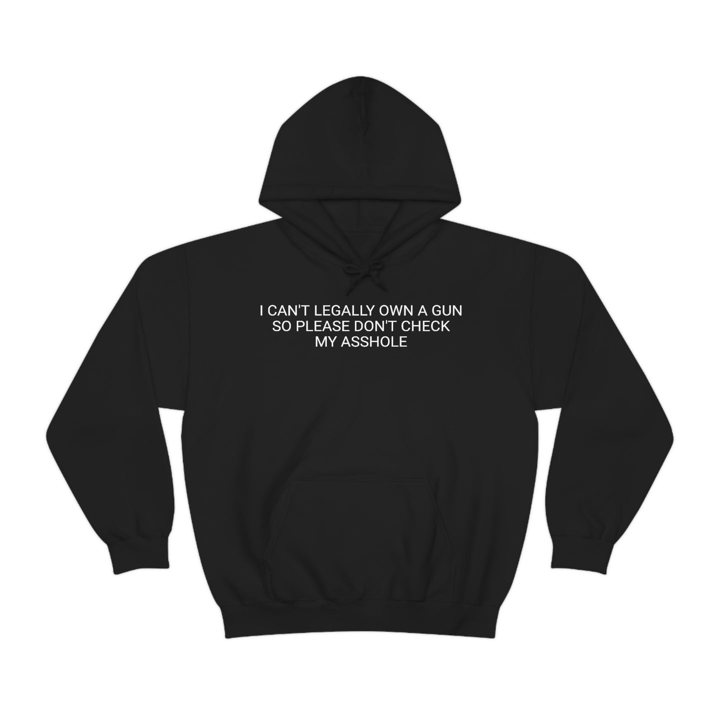 Please Don't Check My Asshole Hoodie